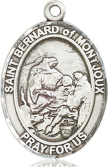 Extel Large Oval Pewter St. Bernard of Montjoux Medal, Made in USA