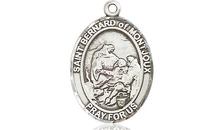 Extel Medium Oval Pewter St. Bernard of Montjoux Medal, Made in USA