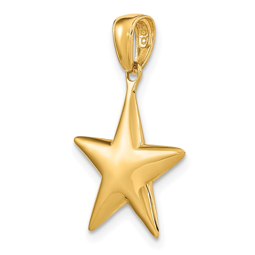 Extel Medium 14k Gold Polished 3-D Star Pendant