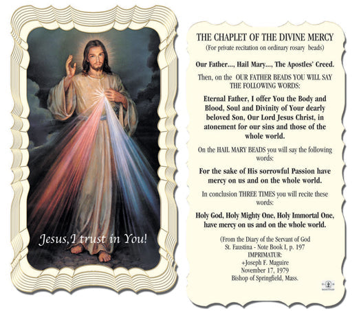 Chaplet of the Divine Mercy Catholic Prayer Holy Card Pack of 50