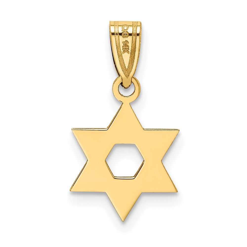 Extel Medium 14k Gold Star of David Pendant, Made in USA